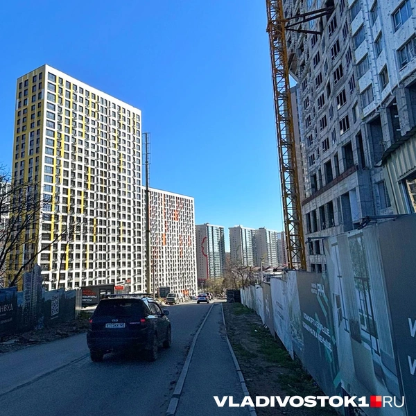 Источник: Елена Буйвол / VLADIVOSTOK1.RU