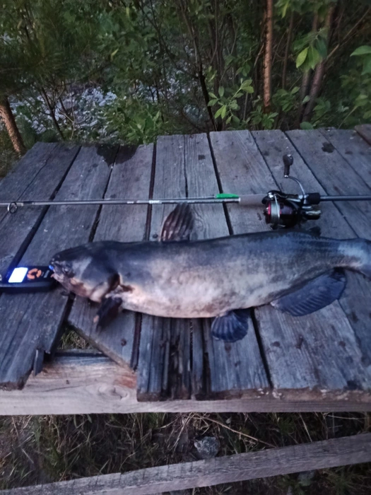 Источник: Арам Эдуардович / «Рыбалка в Сургуте [Fishing ХМАО]» / Vk.com