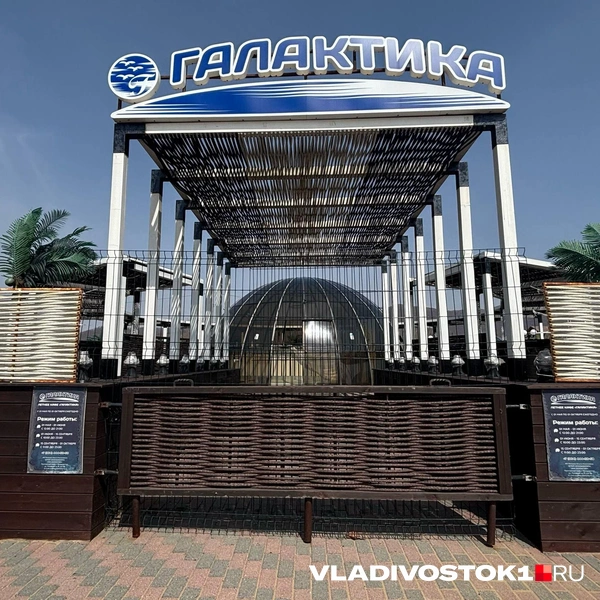 Источник: Елена Буйвол / VLADIVOSTOK1.RU