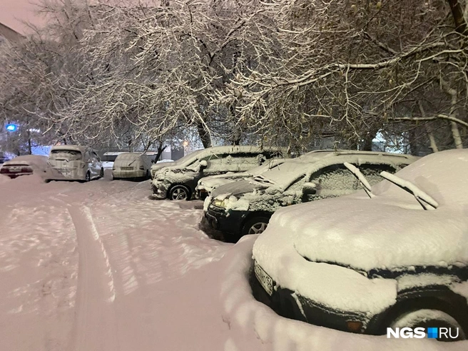 Источник: Анастасия Хрипушина/NGS.RU