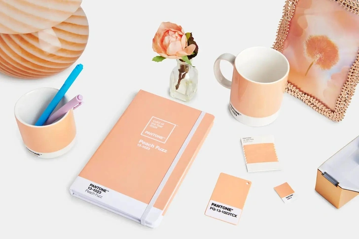 Цвет 2024 года от Pantone: персиковый Peach Fuzz