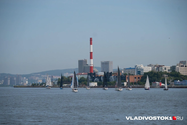 Источник: Елена Буйвол / VLADIVOSTOK1.RU
