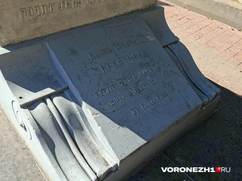 Источник: Алёна Воропаева / Voronezh1.ru