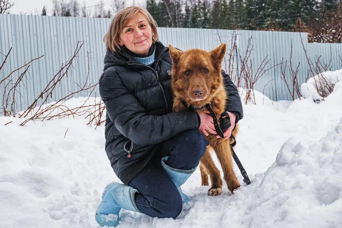 «Только на то, чтобы их погладить, уходит час»: пермячка сделала из своего дома приют для собак и кошек — их у нее больше ста