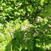 userpic__Sgu