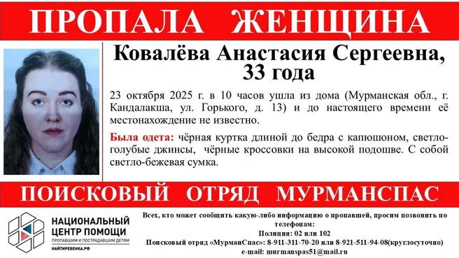 Источник: поисковый отряд «МурманСпас» / Vk.com