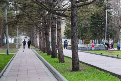 Новосибирцы выберут три территории для благоустройства в 2027 году