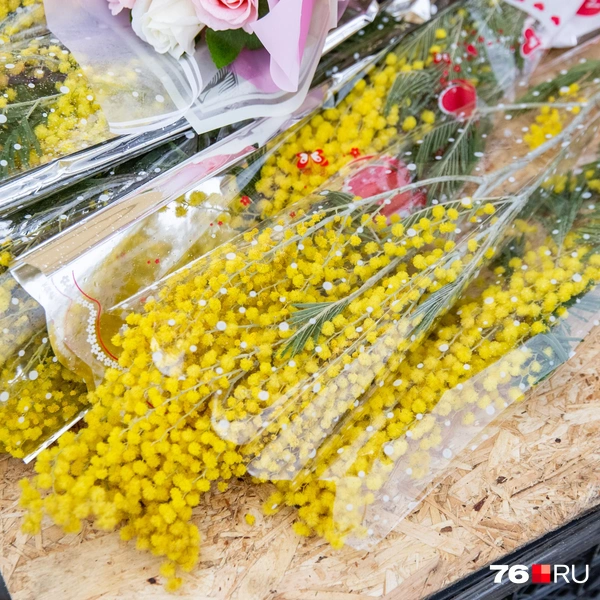 Мимоза завернута в упаковку | Источник: Кирилл Поверинов / 76.RU