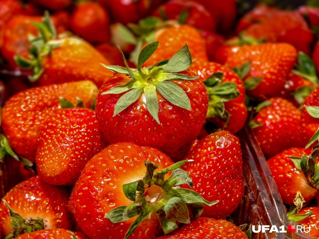 Клубника уже поспела в южных странах | Источник: Булат Салихов / UFA1.RU