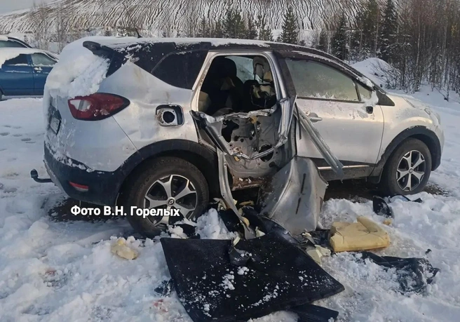 Скорее всего, это не последний случай — в полицию сообщают, что снова видели медведей в этом районе | Источник: В. Н. Горелых