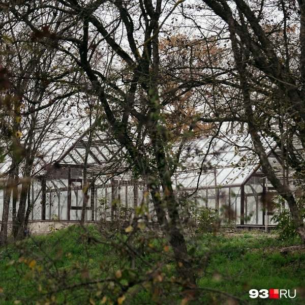 Источник: Дарья Паращенко / 93.RU