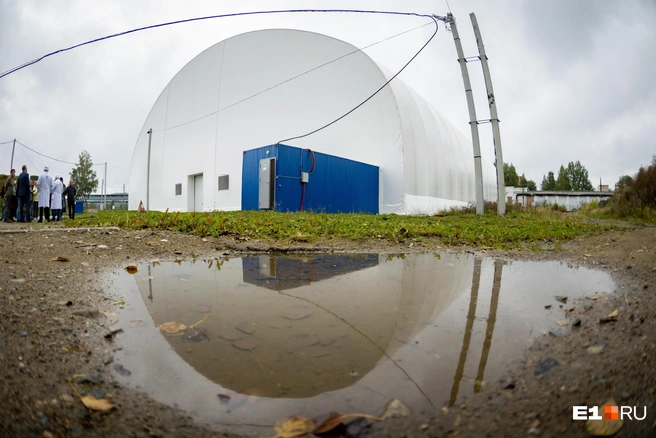 Могильник за десятки лет порос лесом, но три года назад деревья убрали, чтобы извлечь отходы | Источник: Владислав Лоншаков / E1.RU