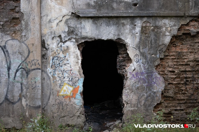 Источник: Елена Буйвол / VLADIVOSTOK1.RU