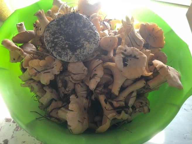 Емельяновский район | Источник: Карина Бушля / VK