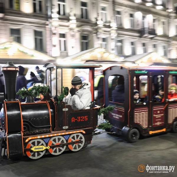 Источник: Марина Мамонтова/FONTANKA.RU