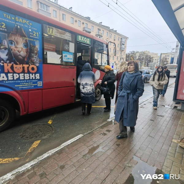 Источник: Кристина Мельникова / YA62.RU