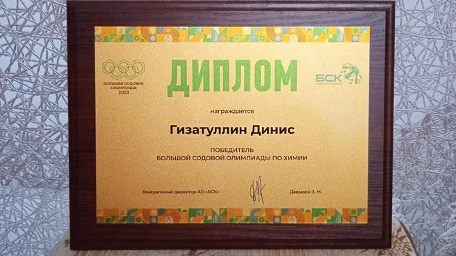 Диплом от БСК | Источник: Ренара Гизатуллина / Vk.com