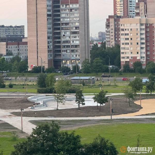 Основа будущего амфитеатра | Источник: Ксения Клочкова / «Фонтанка.ру»