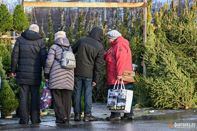В Петербурге открылись елочные базары. Ищите на карте ближайший к вам | Источник: Александр Гальперин / FONTANKA.RU / архив