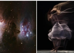 Сезон Стрельца: с 21 ноября по 21 декабря 2025