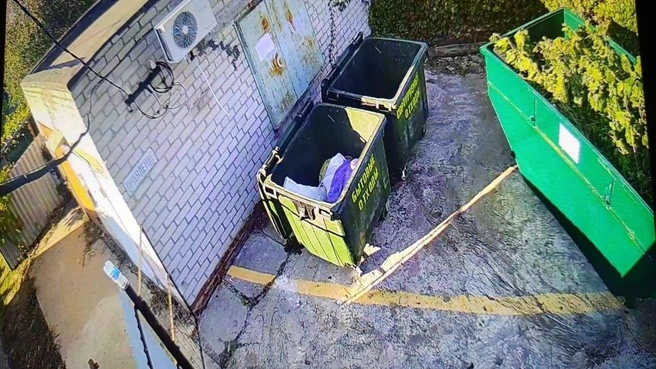 По словам владельцев дачного участка мусорные контейнеры остаются на прежних местах | Источник: читатели V1.RU