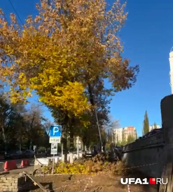 На этом участке было не меньше семи деревьев | Источник: читатель UFA1.RU
