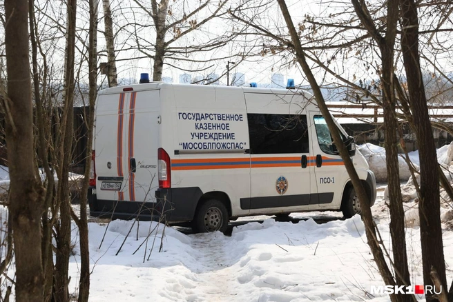 В Подмосковье третьи сутки ищут троих пропавших детей | Источник: Артём Устюжанин / MSK1.RU