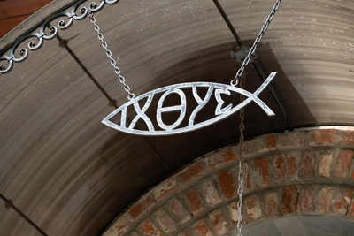 Нос рыбы-пилы продают во Владивостоке как трофей или для меча