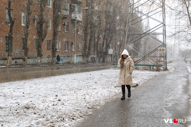 Придется снова достать теплую одежду | Источник: Алексей Волхонский / V1.RU