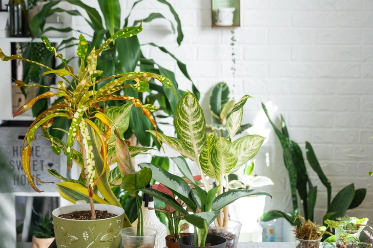 Источник: Legion-Media