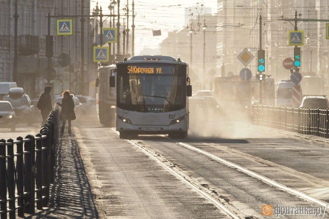 январь 2020 года | Источник: автор фото Михаил Огнев/«Фонтанка.ру»