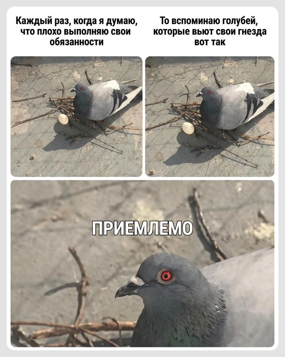 Видно, что старался изо всех сил | Источник: Городские медиа