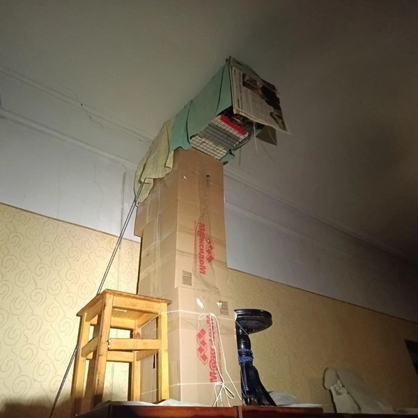 Источник: Кошкиспас / Телеграм
