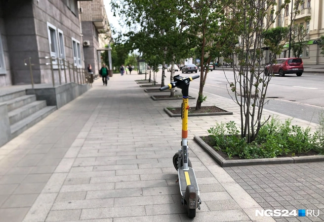 В центре основная проблема самокатчиков — пешеходы | Источник: Дмитрий Мамаев / NGS24.RU