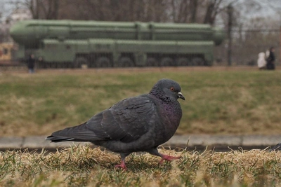 В Петербурге начался дождь из-за атмосферного фронта