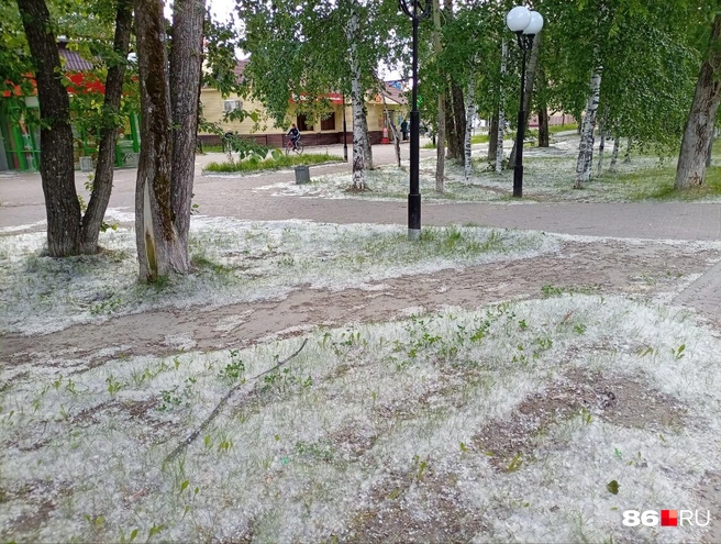 В Урае пухом засыпаны все улицы | Источник: Леонард Насибуллин