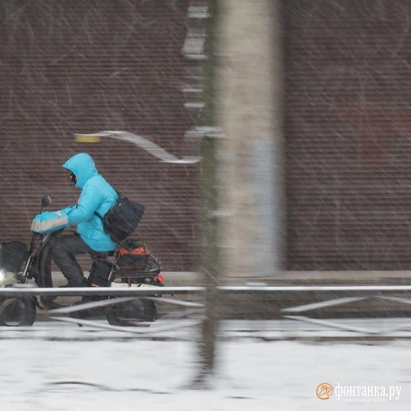 Источник: Михаил Огнев / FONTANKA.RU 