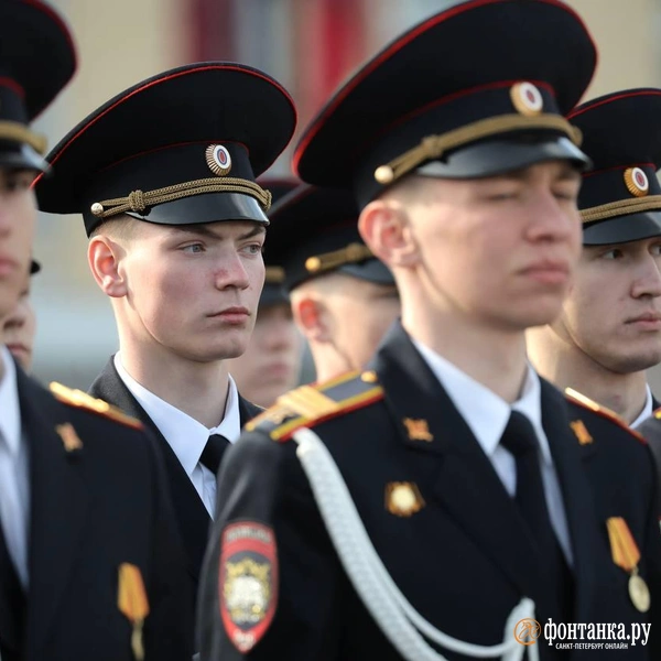 Источник: Дарья Драй / FONTANKA.RU