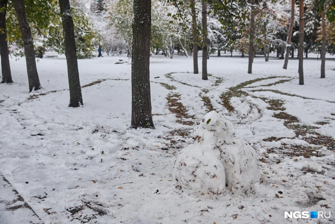 Некоторые снеговики быстро тают | Источник: Александр Ощепков / NGS.RU