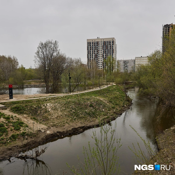 Недоделок в парке еще много, но завершить работы планируют уже в этом году | Источник: Александр Ощепков / NGS.RU