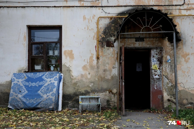 Выглядят они, мягко говоря, невзрачно | Источник: Наталья Лапцевич