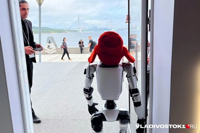 Источник: Елена Буйвол / VLADIVOSTOK1.RU