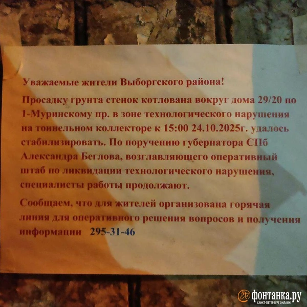 Источник: Михаил Огнев / «Фонтанка.ру»