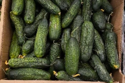 Вид подорожавших огурцов шокирует волгоградцев