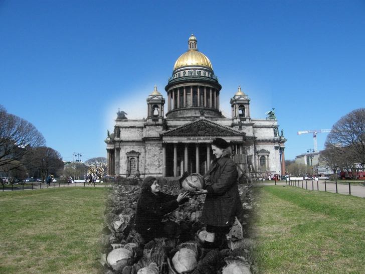 Ленинград-1942 и Санкт-Петербург-2009. Исаакиевская площадь. Урожай капусты | Источник: Сергей Ларенков