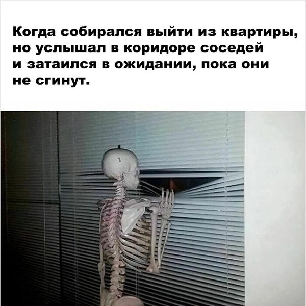Источник: соцсети