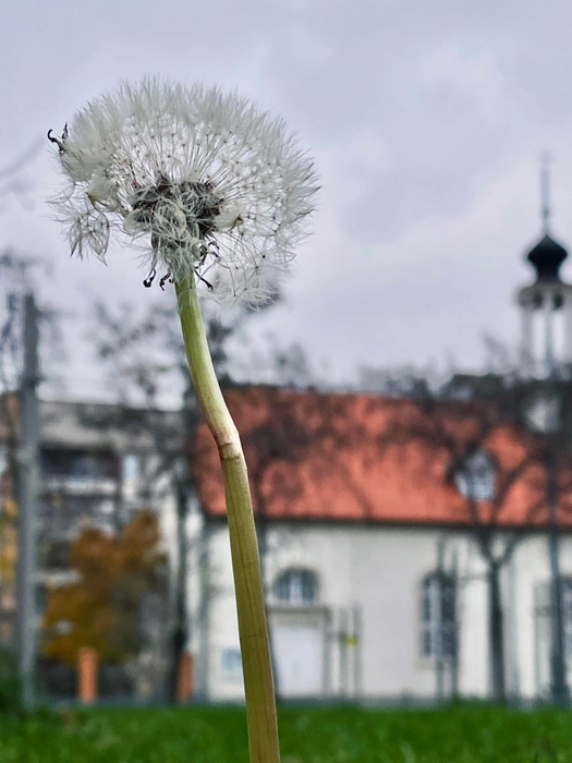 Источник: Юлия Воропаева