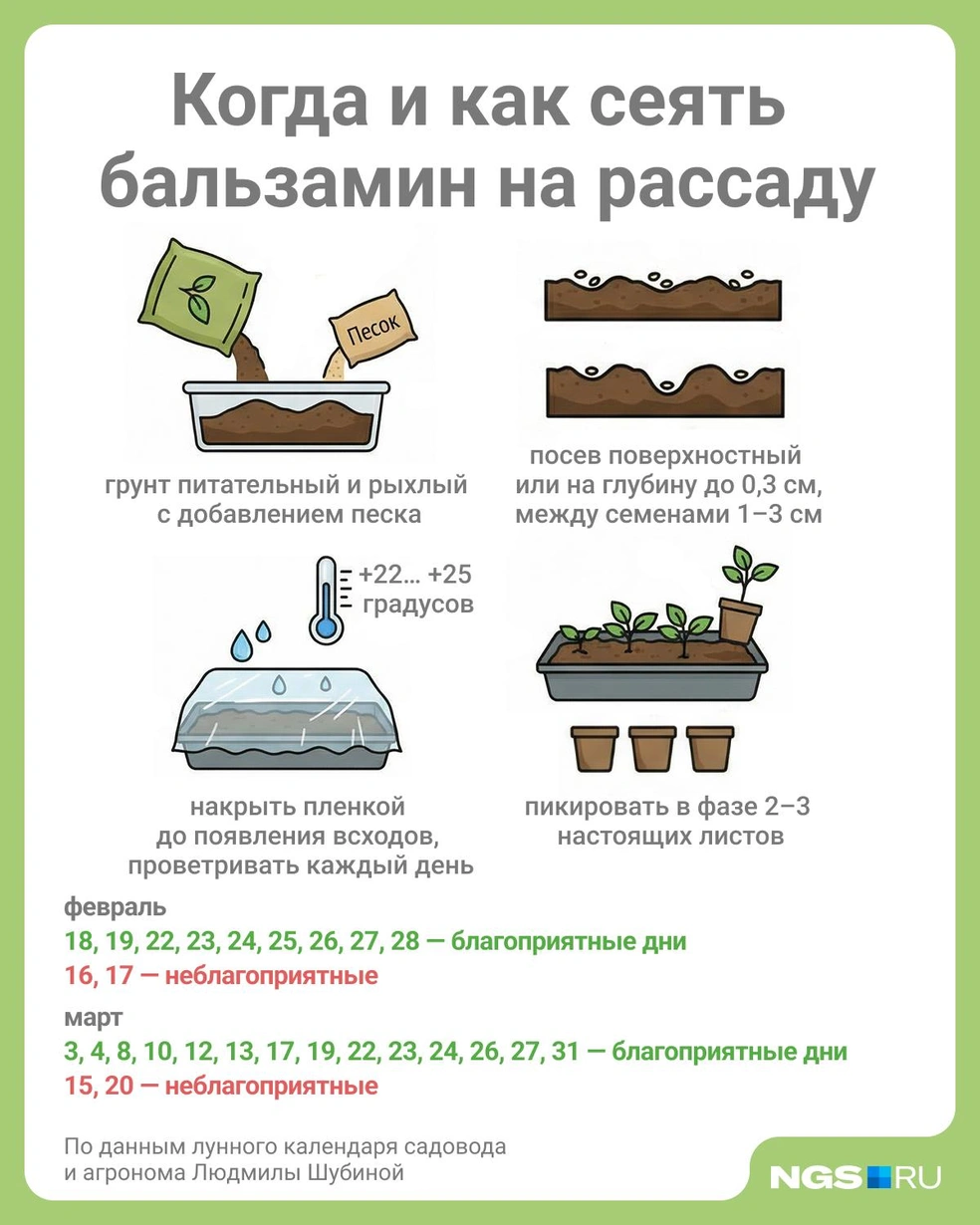 Источник: Юрий Орлов / Городские медиа