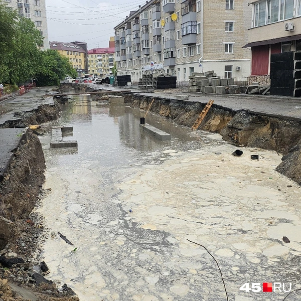 Источник: Дарья Никитченко / 45.RU