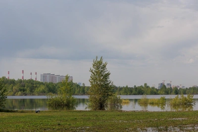 Тюмень: нелегальная торговля ликвидирована, новости дня